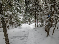 Camp Mercier